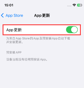 长坡镇苹果15维修中心如何让iPhone15APP自动更新